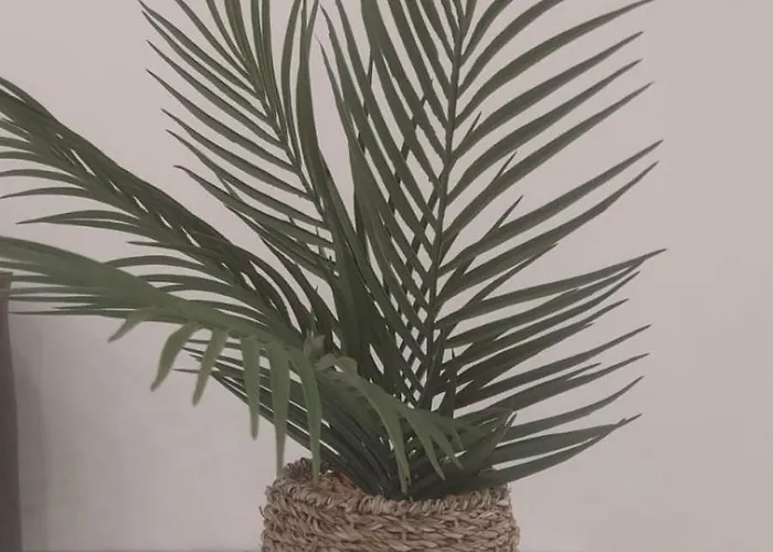 Casa Cataluna 14 Apartamento *