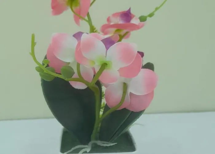 Apartamento Casa Cataluna 14