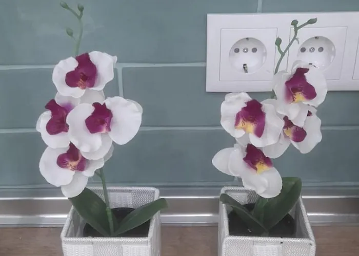 Apartamento Casa Cataluna 14